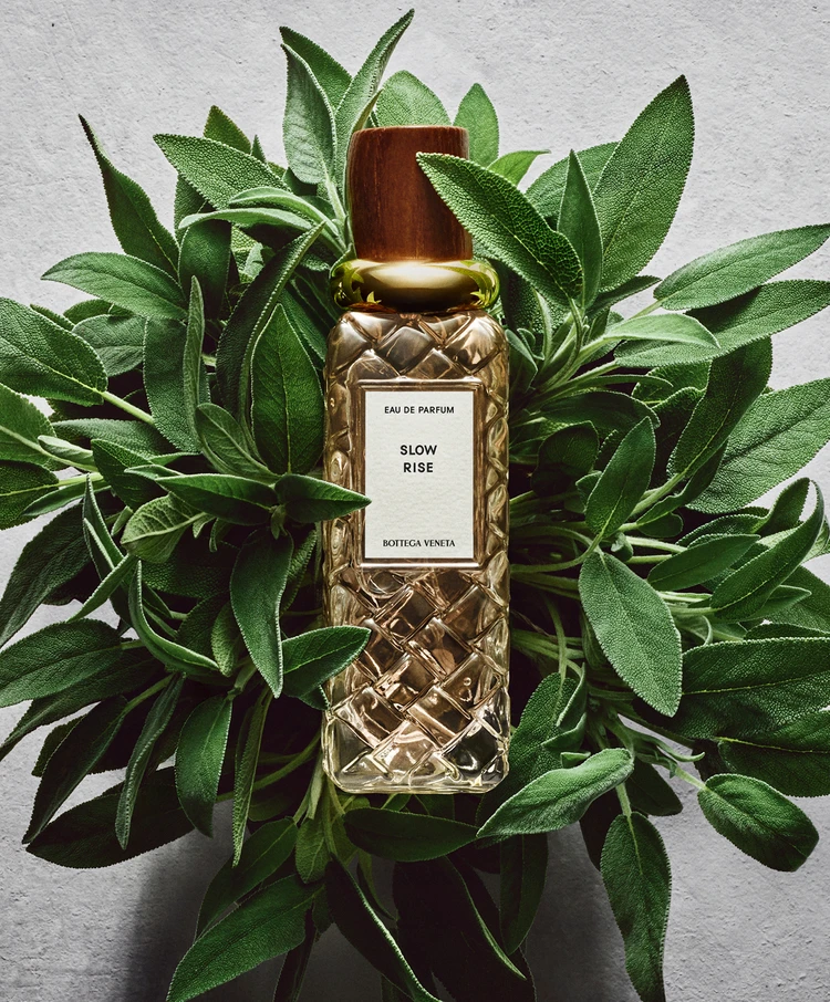 BOTTEGA VENETA Alta香水系列 |Bottega Veneta葆蝶家中国官方网站| BV官网 | Bottega Veneta